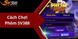 Cách Chơi Phỏm SV388 Chi Tiết Nhất Dành Cho Các Tân Thủ 
