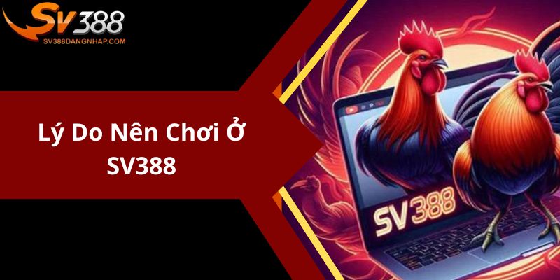 Lý do nên chơi ở SV388