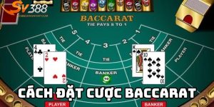 Hướng Dẫn Cách Chơi Baccarat SV388 Dễ Hiểu Nhất Cho Newbie